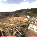 15_20-nest.jpg