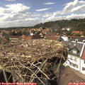 15_25-nest.jpg