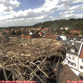 15_35-nest.jpg