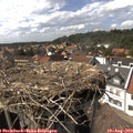 15_40-nest.jpg