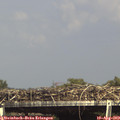 15_45-mast.jpg