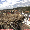 15_45-nest.jpg