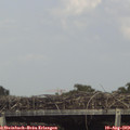 15_55-mast.jpg