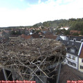 15_55-nest.jpg
