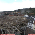16_00-nest.jpg