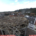 16_05-nest.jpg