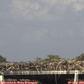 16_10-mast.jpg