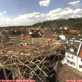 16_10-nest.jpg
