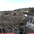16_15-nest.jpg