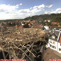 16_20-nest.jpg