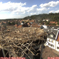 16_25-nest.jpg