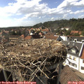 16_30-nest.jpg