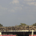 16_35-mast.jpg