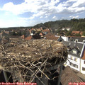 16_35-nest.jpg