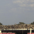 16_40-mast.jpg