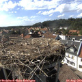 16_40-nest.jpg