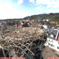 16_45-nest.jpg