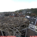 16_55-nest.jpg