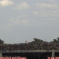 17_00-mast.jpg