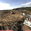 17_05-nest.jpg