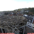 17_10-nest.jpg