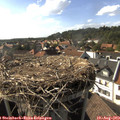 17_15-nest.jpg