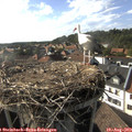 17_35-nest.jpg