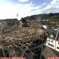 17_40-nest.jpg