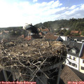 17_45-nest.jpg