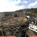 17_55-nest.jpg