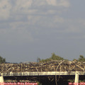 18_05-mast.jpg