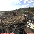 18_05-nest.jpg