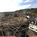 18_10-nest.jpg