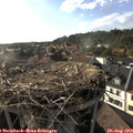 18_15-nest.jpg