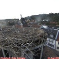 18_25-nest.jpg