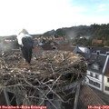 18_35-nest.jpg