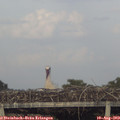 19_25-mast.jpg