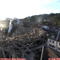 19_40-nest.jpg