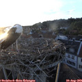 20_15-nest.jpg