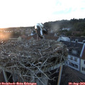 20_30-nest.jpg
