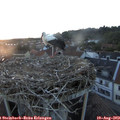 20_35-nest.jpg