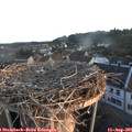 06_20-nest.jpg