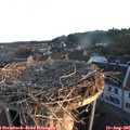 06_25-nest.jpg
