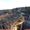 06_30-nest.jpg