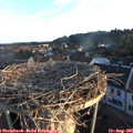 06_35-nest.jpg