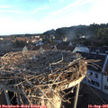 06_40-nest.jpg