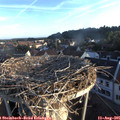06_50-nest.jpg
