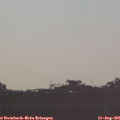 06_55-mast.jpg