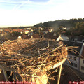 06_55-nest.jpg