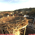 07_00-nest.jpg